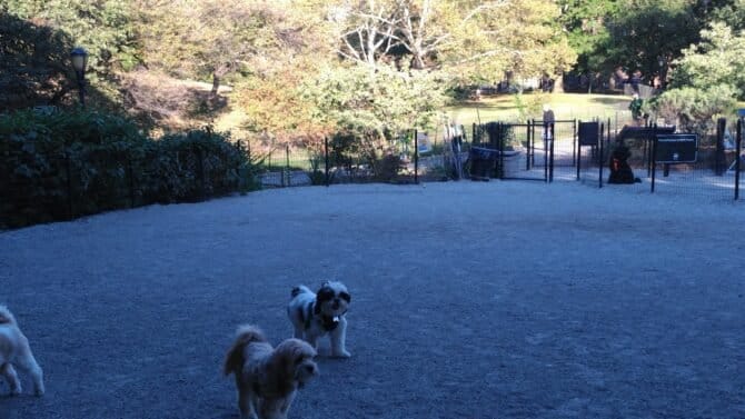 AC9h4no6A1bnic1W7mtNmzHP BudwAaqsXsyj4XW99dHOvQF LUVZNnDpMg wF5lnRx8oO0tnJANmcLk8p3I1 jURZTbkqSce UMO uKbOmdtbcNO9H1p6IchqxRK1vX83oSnZ ha1gw1600 h1000 k no