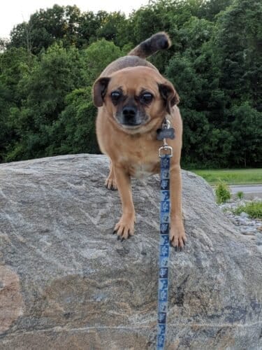 AC9h4no6B0szozjw6QfpN U2h5 8nuPYZHKtk9z4QR2XQ30I2gM99Mn5H0NctQIGu1YrOvdPB 1WkUa4OTwgkKlfUVmgrmjP9ctKdGixeDo68I L2X5I7 KcgqXhUxVUXJ96aYYsaHEOw1600 h1000 k no