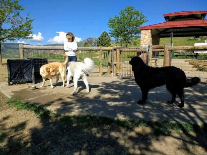 AC9h4no6DSw3SWYCjJhYc Ne2sHxSyts6PYWIBIMpor8 sI R4ppeGHZl1rzfk0e89WA8RM1pGYtPbHR05DfLBuDFB dSy2by7TBDBTOlinUcOqyHzG9cU3pPh5D58HdJ NcPxPiHiT2w1600 h1000 k no