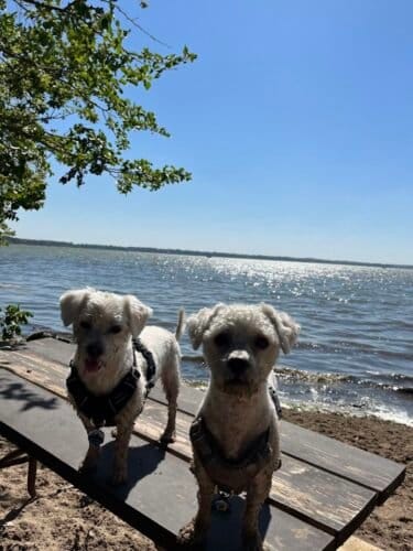 AC9h4no6EtpBCRWfsbrqAJmdgFcV8kCJylDQYCPyPZjI5VH0wPEHqnmDAMHw 97swYt2sAYQn0uRDaxhSz 6b uybO3Rgkrv2YLcrLYnXNH2MZ5MdL48lw5zsdWLDiDM R2q78xAW7D1UQw1600 h1000 k no