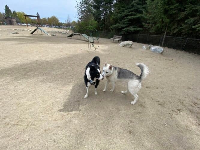 AC9h4no6P IJciTinv5wi4QRdfO7QDeci OedWr8zvwN5 LHRUeEopEtOKH7JPUJ i qFrJd21I7XBhXaoESPU HdysDSsRBvhFVj83jyHU3kc0kTY IiSyXXjYrHDOAR7dy1 sHciq oww1600 h1000 k no