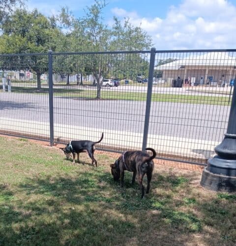 AC9h4no6Srcn7vXcP4vmiZc1VMie7u0oJ 2lon4hVNHnug EV eEkI71yv7jP otMrKzWEqRl3N4JjGiXcYY1zv5V61hM8 ab0SFCS XwSiPfxw8ls29O8Vol3WInFIHwAzWZ SYfgFOw1600 h1000 k no