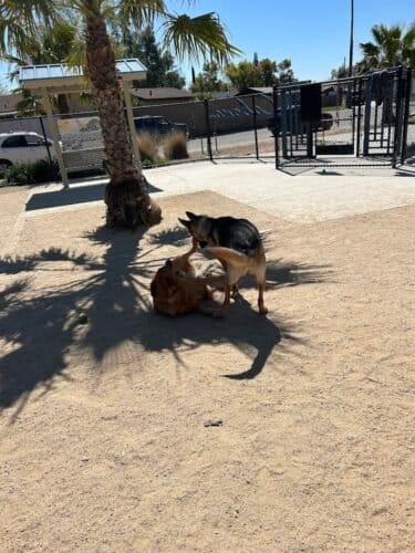 AC9h4no6WI3iFkaU6W TbN6YJaEhW3uJ5tV9Y NmmivNJ59iwSOzv4aB9vmSHeawLOyStX4G0YFdTvlFgrlJHxhNCe T0cLDQR7mZ47bdu7jeAyloNaq03MeNzueqbkOesE8FRVyiOWrw1600 h1000 k no