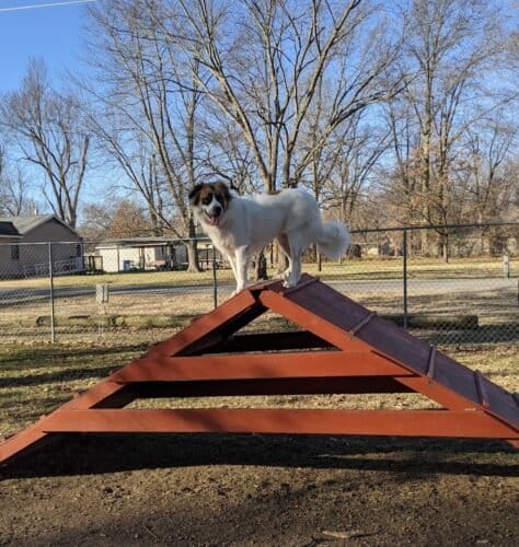 AC9h4no6ZXMis5WhnLoAhfVaWzwh78EWI3LD lBxpO25v7Up8g3WqLML0oGlriiKiyM40nI7OtktoboxoImGyySEwks9 Ox2 s4XdgvKU7gvduD e1KQdGW0K5vT5jf7lx6zz7cz9AEOw1600 h1000 k no