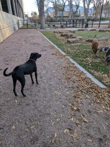 AC9h4no6aQgUYk1kcTv2p0GvIQSWrE9i1VwswPFJsJG4VsXvST6yzmfqq2x4An9in EocY6VTanQP5qfv1sccQYW3IEdR39nHFNRmpVtyWIVKDXk1Qy4cfsvHU4JETGNleneDR7t7o0w1600 h1000 k no