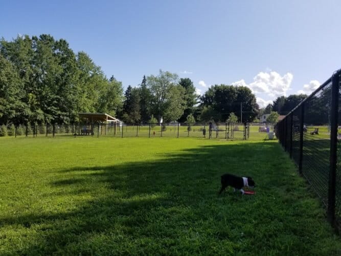 AC9h4no6hT7R1CGKycx5U8SfpRRt9zJQhPKMXJMUR9RM0km5W ZXiZztGVGEp0OaK66MwNxMHYWlVLXYGLecfGekhu6s9eGHyHl1FNyP3nYOSvk cXRv7VeO8Lik2mM Uy43tsAmsI0yw1600 h1000 k no