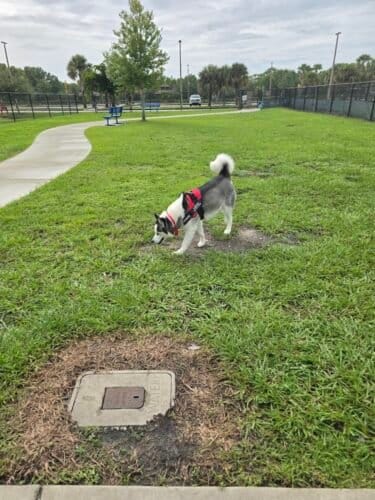 AC9h4no6xdFYAjuIofJ9gT 9tMXjKydK1U4RU5vGCr4KEbVZIhBBnkfxkpWFZ0xyJxmAPSceNPfwG3wunybaerUy4BPQViiuYy1ElrPWrnBduxTwy8PNSHLLZb6jlysMwhV5Ax4cKahQw1600 h1000 k no