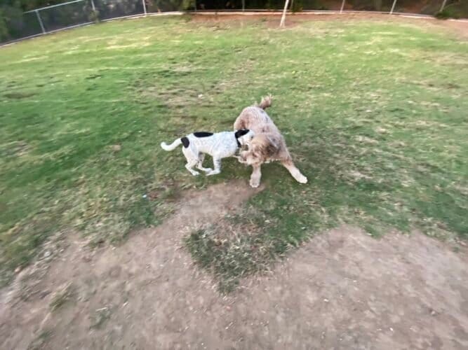 AC9h4no7PyrYaZd1BM IFAr2KP4D0y42Wjfzyjyn1CM4yDM mZcmboaJsz2BmlICm4kudH7c P2AVtfTHOWfEBcAPuvvNAg vLGtvTHLe4ow1600 h1000 k no