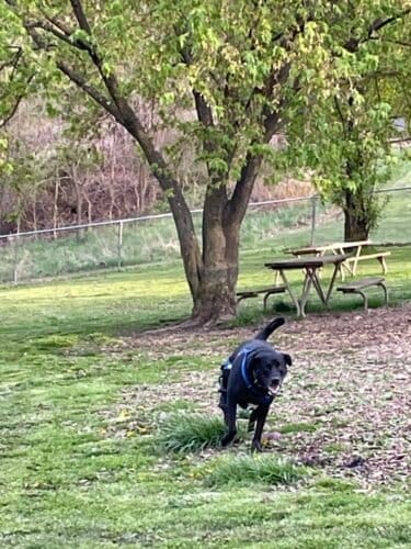 AC9h4no7Yc0mmJakNhAD0gRtVo OsmTnPrNghp7kdorzJJjuIy5oGGYo8 sxIr9 HH37yWIJ5peoMU4 RNWTMSRP2DlbL0th9Z rQxM1MVrhlOgazLvdQPeHUSjguK7caRepJlpzm bT1Aw1600 h1000 k no