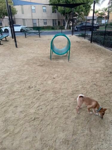 AC9h4no7Zom6D4vW00UNB vrY3tLWnzyqxc74W2wjzngh5 fd5BsqKsa8yOGHZzXmYZ6Fp tmS3mHEZhplNnxRwuDRsp4ELbdBH8SNZ0DoQ3QU4MWvU NJvrDyk5RTOHAA FXoDnl0Zuw1600 h1000 k no