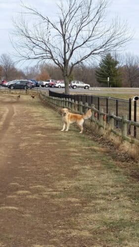 AC9h4no7awIheQfnH8jDG H7LwcF Bw6LbmS6RTkLPDhGRNHpOCq9hs1UtsHTn9oBSRj bHAC7hGBY15p7kkEZmXij5brnDUdfBHHa1uXOcrL4aITWQfXtjZT2mbFfL4 SKZA3mvwOCew1600 h1000 k no