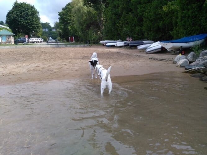 AC9h4no7ozczVQ516 z1p PAfF1SzNgi HY B84PSw7ZmyOv5THjujOCbfCJJZq dGoY89AkojNMlVmSPkHpRd SzW  l3eEowkX1x2RCao8Q1G7BMBbVpRvTxCFZC7w1dTNU0xZfwEw1600 h1000 k no