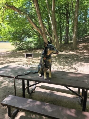 AC9h4no81uuz5g6CzNGu5Mcur2CovWaTV01YHDzOyCfo02XhQJDtMF7Ad0onRzoZ1RwYq5TCdePrQC2Jnxt1gEa37MHE1Beh74lmXo65ApB9ua50TY4XkEkVvcDGjj AY1j5zPMxlUhmqgw1600 h1000 k no