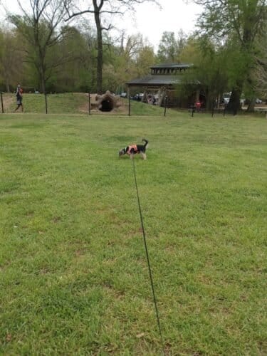 AC9h4no829xqfMBlDyIGQ4tQfL2k2nC  fwkjNME vVKli2EGE1oSO1b 2oO0q4d0LRj4t pSZajtjLCAezhdwuP PtTfh38RkRlf97Nz5J8Qqgv6NLcdMGcX GXQWiCwhNEvrPV2Aurw1600 h1000 k no