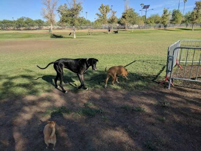 AC9h4no83LAMRjgg6TsECeYp1xmyHwdetLE43u85HSannsTxmFb6PPcAQ9WszXp7cV1WE9zHpx9D8tMHzJqSD5UOXw8cIXddf4F dECSvx8SgcBTEplkUZ ryDCwpme0EKluAVKn cgUjAw1600 h1000 k no