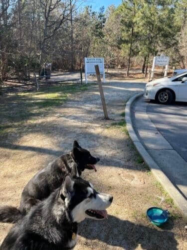 AC9h4no85oItFeER9TRIOhHQfQCun2tiW cmASzIceAvz9qlB4 lVbInUc0iXbJ3Bh I4QFq7j8isvvMipoWFkPQjgn7M1RnBHU I 6N2oiaml6MjdY5mVuxgrYuuSkLcBEk 7ZNOOe6ogw1600 h1000 k no