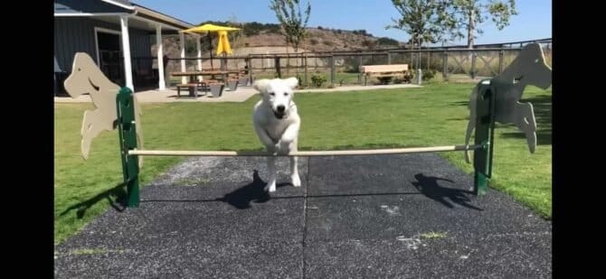 AC9h4no8BQD3B1vBTDm7 qhqlFKAIxRtHqb3JHIhHVidlyKwXg7eTzHoVG53waZtf0XaAhWITOXjKao128zmtMx9Z1ssW4MQcR8b62dh2t43KaqrllsChHqwLnKsiIRulroRzly9 wEw1600 h1000 k no