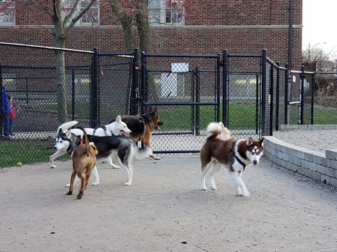 AC9h4no8D4z894dHoA MYIvtEZ4L5Jb2xiZ5uaVYK52K0XiD7Pr4L9xFNWR1TGpTy2CS6Eg1bFjx Rgs2nNLf SDPk 6jmwrdk1CLwyPFjJ3xPuWxDig3rXwct05Mw5kpFVAtucOAbaahww1600 h1000 k no