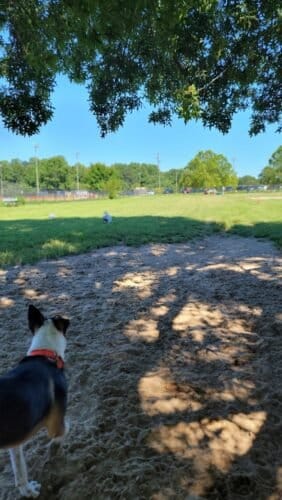 AC9h4no8Jozh7407OkM1mdKMhZh8Fl CWjSFfnP07TZ3WjTtsNcQ vIvHiz Xpjc2M9XD2GZ1dgeo7fJPVEaGKHJdu1toPlMomOacdr8QZGPZRN8wjgXiPhZKNaoLUOEz2Cbg65aCitHw1600 h1000 k no