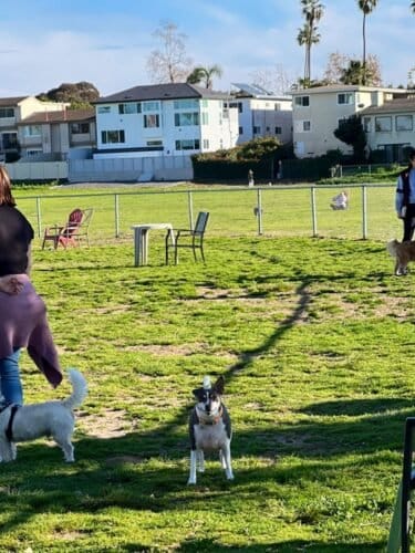 AC9h4no8PEFL7 g 5uSsJ OxzosrXKubxo2kq1zcIv1Xo0Z xK7aYtbqBOSpI3cGymmGOdKqp4vkF5C3eMgs0rXifgCISv4ylkzUKCyknMJwZOHE7QPijeWbrvA6MS4HjSYjUFIfVCIyCww1600 h1000 k no