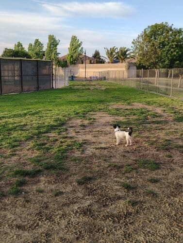 AC9h4no8Uil7zj0wlaa0rY5VXj2NV29kONA31qBKy42w4NXwoKLaw8cpCCHI5ceG91WaFnBAexFxoDJvOmNVpg2yup7BBiWIW75ma5QAtvMw6 V57UwPmPaXSeDo5R6E6zYRQ250afR4A4nLvwcJw1600 h1000 k no