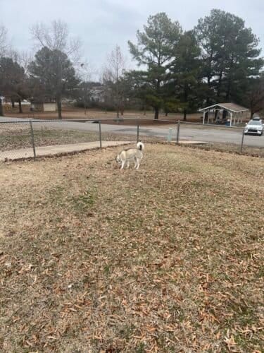 AC9h4no8YG lcN5x5byAH8X7TJF00O16stBoJFoogLzPqAVRXpFrTh4iCj1TYMgH1q5t8ldwHrwm35F0R GlwwHhp9OyCX1neu9UWODasvW4IdZH16fmLZRxP6oivp1yhaTKOi9YgvZtw1600 h1000 k no