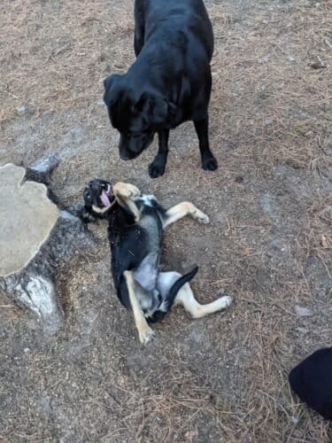 AC9h4no8biQdUGmJB74hUi1bLnPR7fS8Qv zeiMSty2Myzw0RbYyKGx4SiqWI7kjW00V2kzRWxT9XXKVHBh4vhCs raW6adtfZEl5YfHdY8UKnB96f6GAz1aSymB2jpJfzqlGzcMwXHsOww1600 h1000 k no