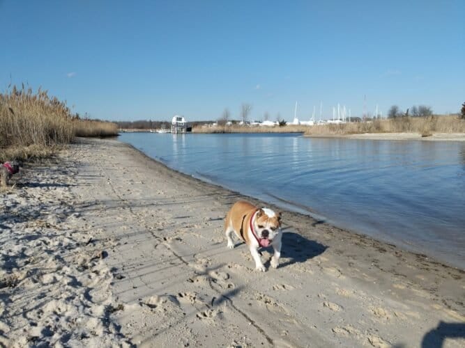 AC9h4no8ej342xCu44Ag0kOvzGgt3ZNJ7LXuw xiXh6apMiQ63jH7V6Qdn9hPlao5ksGTRMzq9WQMn7qG9x YA4TS4O BwO0rzSyxRdF4AANFN6x1nO6Jhdt68k7WKlCj4nEExcZoGlXw1600 h1000 k no