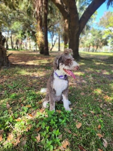 AC9h4no8hw7tliTHK197SLCnBcqTzM7vOpm76PuMMnCFheR85PoeVfzavKrxr1mU3VWCHG80KOegxDJkS8zS5u kgFS6WrdYYBofLGBw5O 35 OJcHEAkxP7HF5zDZmdF5zd1NZHRKHyRQw1600 h1000 k no