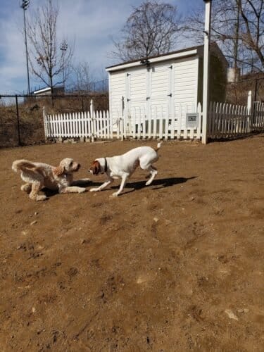 AC9h4no8jKyNkJqQgElwi bd9nT0twSs64ke7iuDA9Iukax1cW9HG0jJYsQaE8CpkMwHNtwWN39K8FDDRgKR CPoImKtSG xr11vqGtyaPL8gjrb4 MfqMS8Vy9LiMgEVxE2GDVkXH8gw1600 h1000 k no