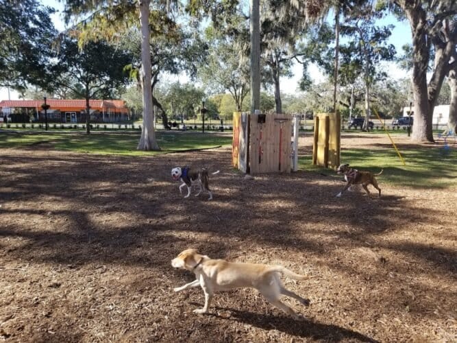 AC9h4no8kfXkcUSjL 58CoznT5yuAxD95 KJhgV 9uBHP41JONTnQg8m7UDsNN5xUfbkUzz6EnJrbj32z JvK0qh PB0RJSMkzLZXWLPKBZ1dIDSprfEX8QM evzQM7Kgnk0Yxh HXtlYQw1600 h1000 k no