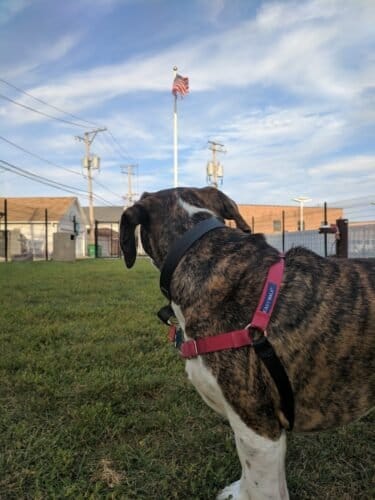 AC9h4no8nNIlQNBOBuTYf U8Q7WNeHzNwqsqFyZbGumoNZFiMmb9xMUA5rM63WsgR1pGL5b88Vsqro5Gn7g8S3XlvXVtjiUhbqrQps9twWKwsE5GBhy3HSiwQQ1D6WTowki3Y97hhU6Rw1600 h1000 k no