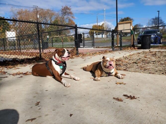 AC9h4no8tZqSZznuHEWnoROJew79RJ6DSIsWN6vev88S4f1X6WSXsNoX XmpsGUDUj1I jinamH7YTyXBlIDroPX nkOcrnSPWrgEetSoElsQcgKXlRGh8D4EZ2oOenBG e99Bbnyjaw1600 h1000 k no