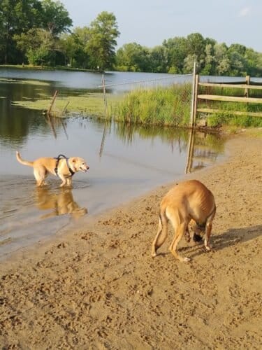 AC9h4no8z  rXx0Cm UKsa1MSYc FUN0 rXf0eDH3MJx6nZpEXBOIjZzWi0zZSzBHe1WCCezVBId2CH0KQstXdViNlT9ByS2lBBEUVPCGR8w1600 h1000 k no