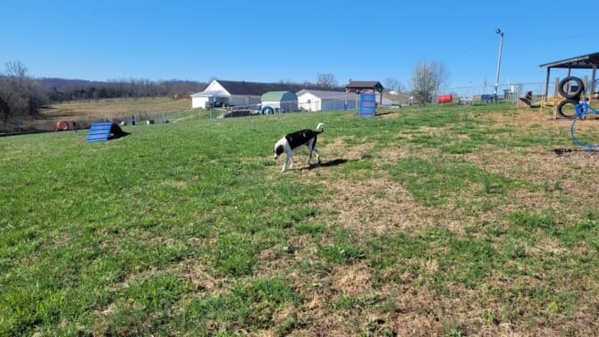 AC9h4no96k1MS5zpCX21Oiu2Of9hhgKYh9zrVAcMKcaUna02XwuPNYBUTrcszQV5jEkU2LiPaptoHpqS TEnIPucYTyhtpms4SDzCVTcRQln69 waZDfTZTJ77LL7QgS2u3a0CCtSN3Hw1600 h1000 k no