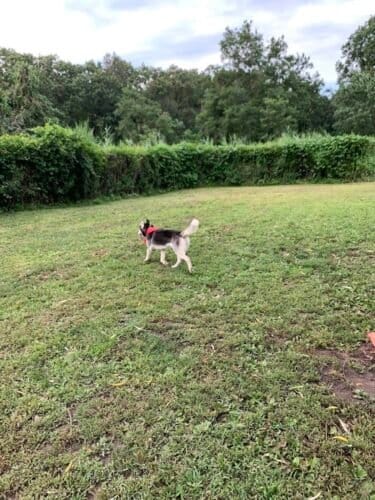 AC9h4no9CRiLIc2d0DZbOZ3HDUsL8iZdwD0PI5nZMyc5SUziud kQ8q3sxvUZgQIKzycXafQ8Oxv5N5L9TKarNs5Wifoh2I4hUfxOZDANZvGzY 34TeHGt8QTue9a22B9 60wMA3xX9mw1600 h1000 k no