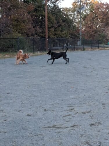 AC9h4no9NAcfuNV7HC6hmIrogzzCvngCq1Fxn 7flEkXwri56DyNcreXnvFxSLf4gIP31w7cw 77QNyIcz LqTfk NZaFDYlnasLM5RHiy7cBuVH0Mn8B6vz NrQ3mK6bdutZqt1XfKt9Aw1600 h1000 k no