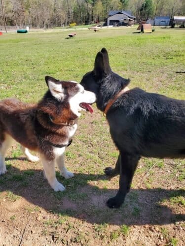 AC9h4no9Ni bbd2TVERW1m pyhqmQNLOqpc1riv9UVLE7G2llt7k gsLvlfzmKjsFCEHJWn5yMtunAMA2dyNg2 FrG4RXkGKhtjsR9Tbe5eiAdDcOU575AD4nA mMjHCPT O2Rk3riIhUww1600 h1000 k no