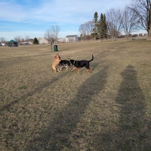 AC9h4no9R0baPE7f kJZbCDkX4nIYSrpFF2v4w7X  XPRRyV6 EEKr6MTUUXUPiQGREV78WZRNDdN5LUeM8Q2Mj2xemD04yNybrrLAsQINqzDSpqkoKlJB3fY iOY5jFX1 SYt8cfJow1600 h1000 k no