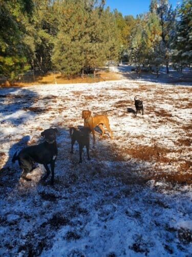 AC9h4no9Wv tx 6zGw0ga4S1E5tg4GJbP0pyTjLhgBOSba2BxyZf1Pe3 iZlljRLe1b7E5hTKOgHZ9IClDC8O5hP7fa CE1H0piouw XuMrZAd yRUHB0LqBefGQkD4IorfINTZCfGobUww1600 h1000 k no