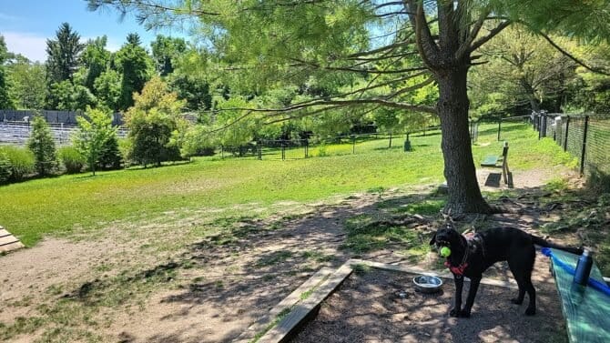 AC9h4no9amhzvnFrHQGtSnK zVT8fYY7lpUp4JOZYuhQMO4aXCPeEz1VtDMhsyB0gTfYW117Tv5ZnHTaSspsMhwjIQ  2QiW8V0NanTGZ7DZUN7jh62D1IG16TxiDcyz7O1qUFq8D1gXw1600 h1000 k no