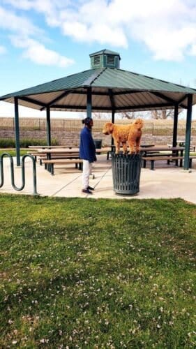 AC9h4no9hsE1dyKxos WhQdvmq65RopExqv8 R6XnuF5JNkG8ILxIhu7rwZGygOn2CHIdAqNcjML4L5x o44OUiRHR43SijSOQPKilGKBHdjpfVuyvlbCNMwAT8pxA47DdNw7KtpBqKGw1600 h1000 k no