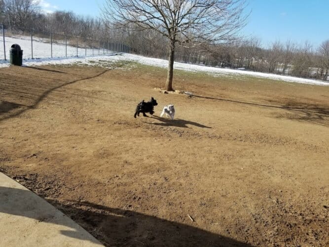 AC9h4no9rBIzYhhE640iDT P8a umBTpizVpIyXFz hxyfDl Y5VcLDye7dCuDPKId4kxXIxtlxWLW3jr3Rk f1KKiqrjasvkSab9Af1HAQ6tcMdZP wCN9hgvHVHMwLKMdEfLx5cNMc0Qw1600 h1000 k no