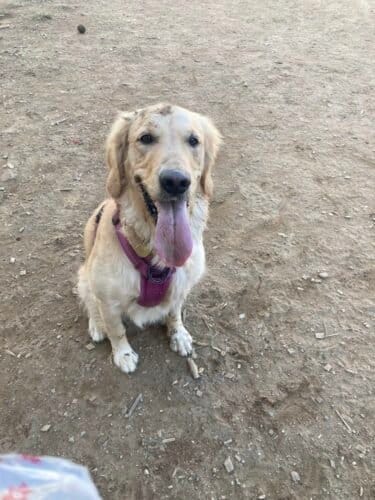 AC9h4noA3xbuIEajbBDtk7QxSokqKG TcvDyTOFU9jwmko6IMCO9GfHul6pa0OUfW9lCGKT8hycfnlryVfTGJVaDvYFTcxRGgR1G80oFeg3oJ yc qRmBzm4TYAyS8nU9ofmIO94BuOegww1600 h1000 k no