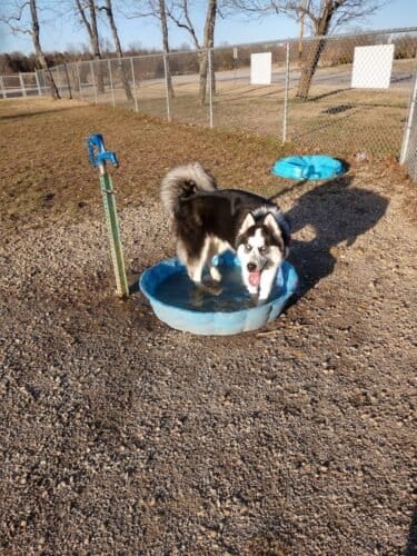 AC9h4noACIYZXEZjFpHXMe1FBFP0KTvYfqYYvSqIqEiJ7wh8IwkLOvoTCRc l71Dvr4EBg3peSd3XT0771YPLF1Ofyn0VMsqRe lJMiEZ3ysgI9r9J4BoeJf0Sxt8 AWudUvxQLyHoLfbQw1600 h1000 k no