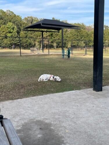 AC9h4noAEoZJrzOwL5T VSiomz4qKgVMC2EJQbNDLNrm1eLaOCKSBwhPqxPamGsD5VbH 7ADsJq3zrvzN6HN708gVGx8AuSAtMZUkGifAFLxVva5 n1V eHG3IDH4pXNW3V68D5UrQGtZgw1600 h1000 k no