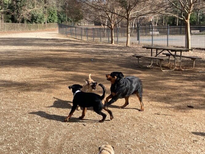 AC9h4noAJl IlMQn7DRN3BXPbRyPzlGIFkbkQe3lSIzTL4SMAhxHud8nvQJ30A6u8KRzHpn7xuXmwdoglGeVACQKtuHVY6 PhLcxRZIK9cGlHgJ9030CFb6CGyP6td9yEBUDd8pNWkKKMgw1600 h1000 k no