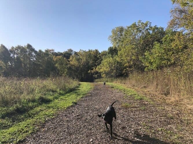 AC9h4noAOfyjlxnS2gTi9vntR55YQ3O lusInoyXNXf7b5R524DEm3SpIX3arZ8TS98OFR2NTx5sq8GY1WckeehRSrZgVNIH6 WfI4rJ8WbAPZnxhZuLurwFsIP5dZYox9LkoZ0dYo8w1600 h1000 k no