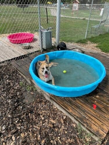 AC9h4noAQLqIcX7cMBkooShxRhSxICRrPJqQsMO27vfbMMtA6gQsuJQNhe10fSO5oXrNvgiTeLtj3NgweEqb6ItEJR5fgYzqRFR1fYqUZJbszp4YThQraO6P 7PM3hl1S hNxaE84m97w1600 h1000 k no