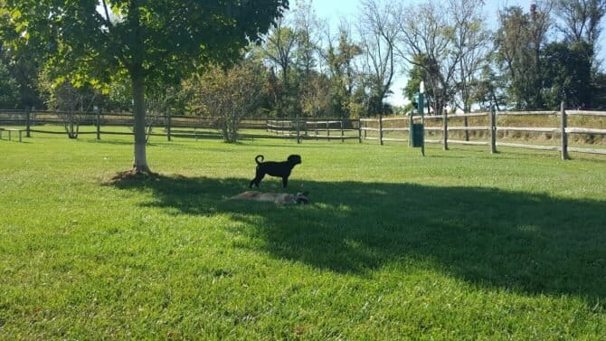 AC9h4noARoRFZ jwT2Axr HKfylF25HHlstR3K4 cPVas5iuHZoMR8eT3Fm7wOUjbwhEPaa0PW0jHk8h3hz8Ocr5u4NTxHZeCnGWDDERCPkw1600 h1000 k no